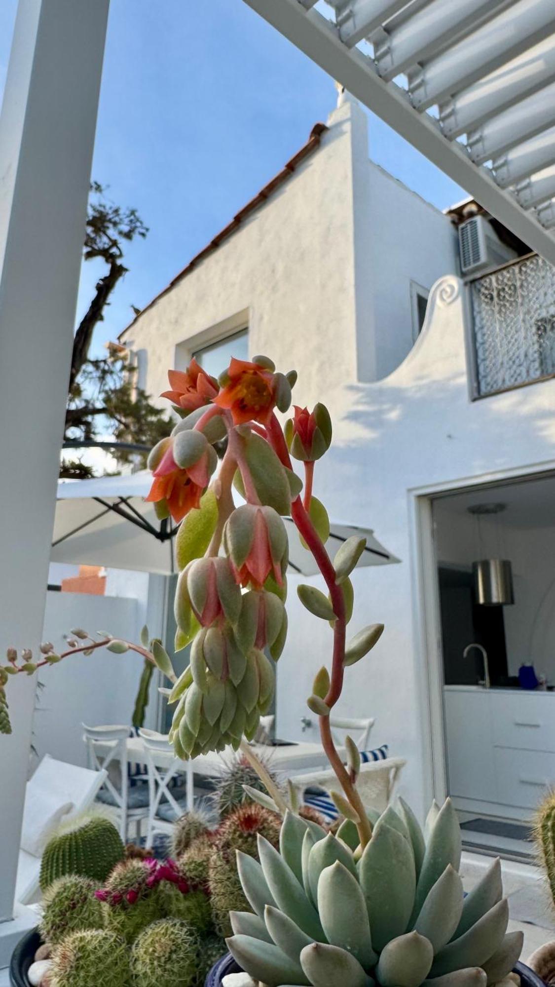 Casa Blu Marbella Villa Exteriör bild
